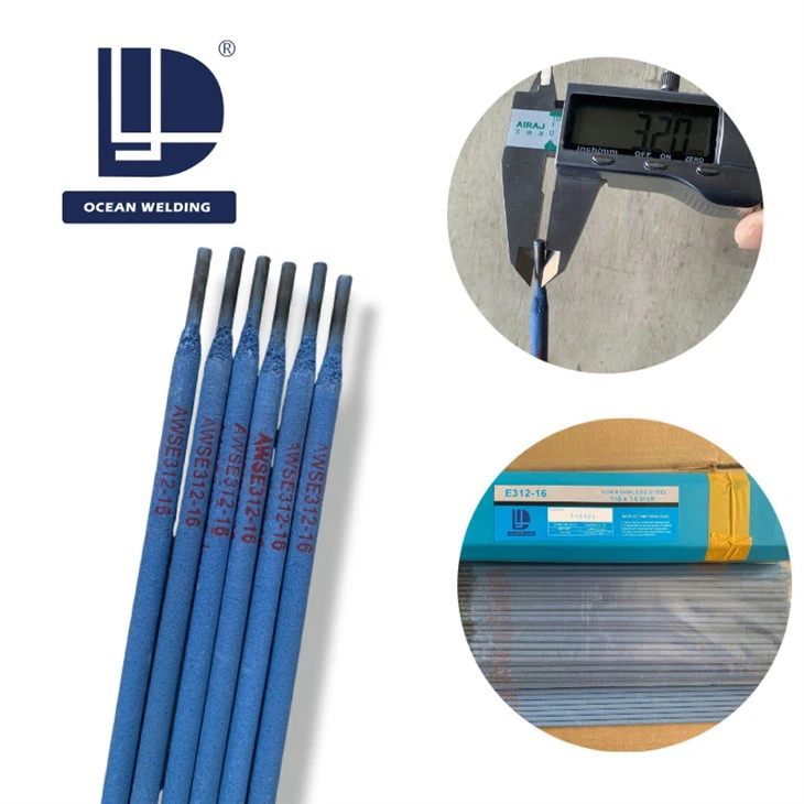 Stainless Steel Electrodes